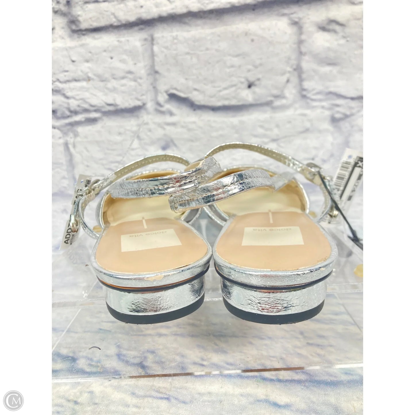 Shoes Flats By Dolce Vita In Silver, Size: 9.5