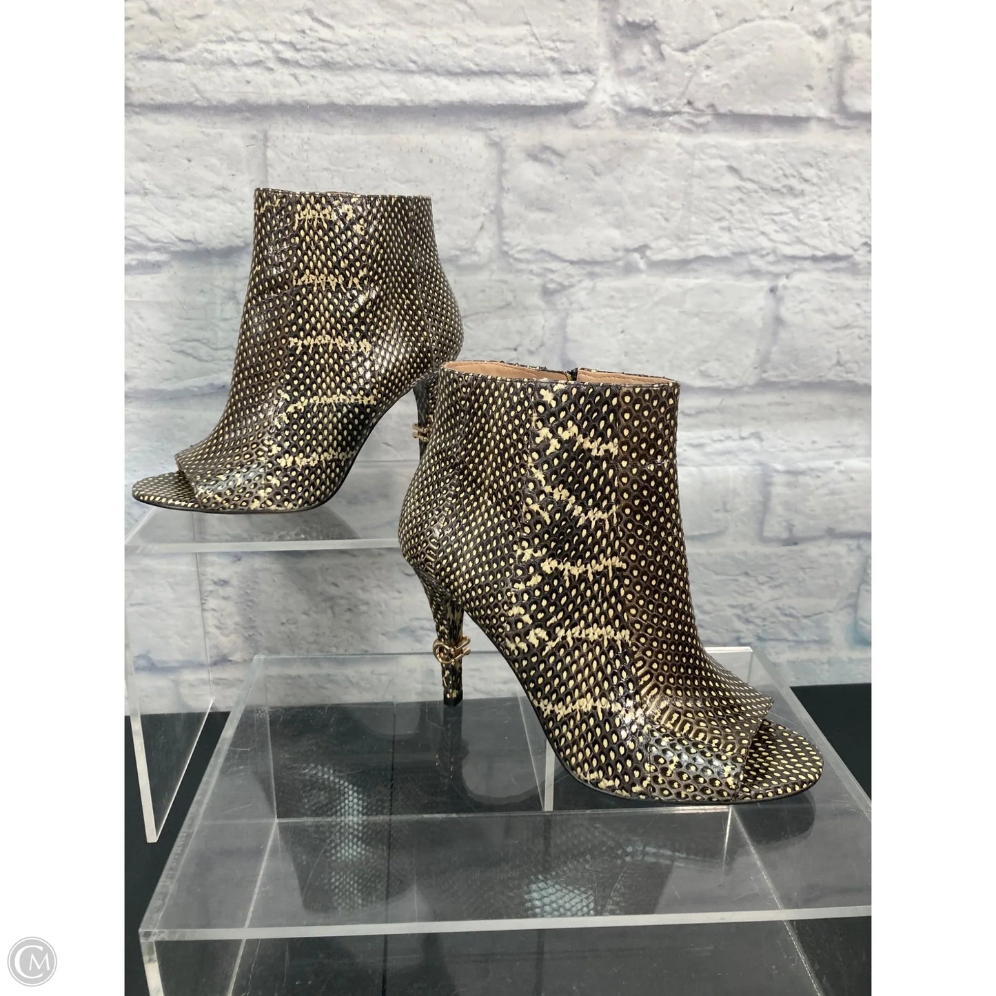 Shoes Designer By Coach In Animal Print, Size: 7