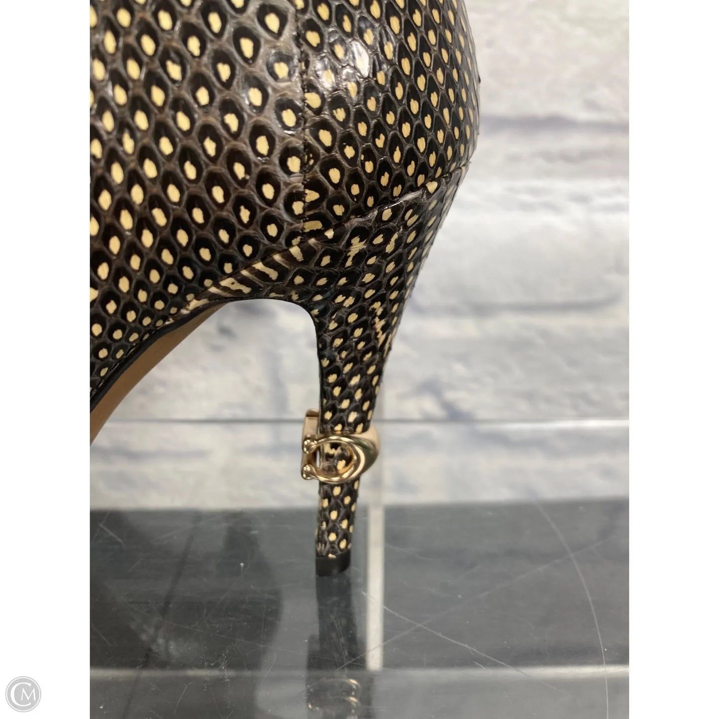 Shoes Designer By Coach In Animal Print, Size: 7