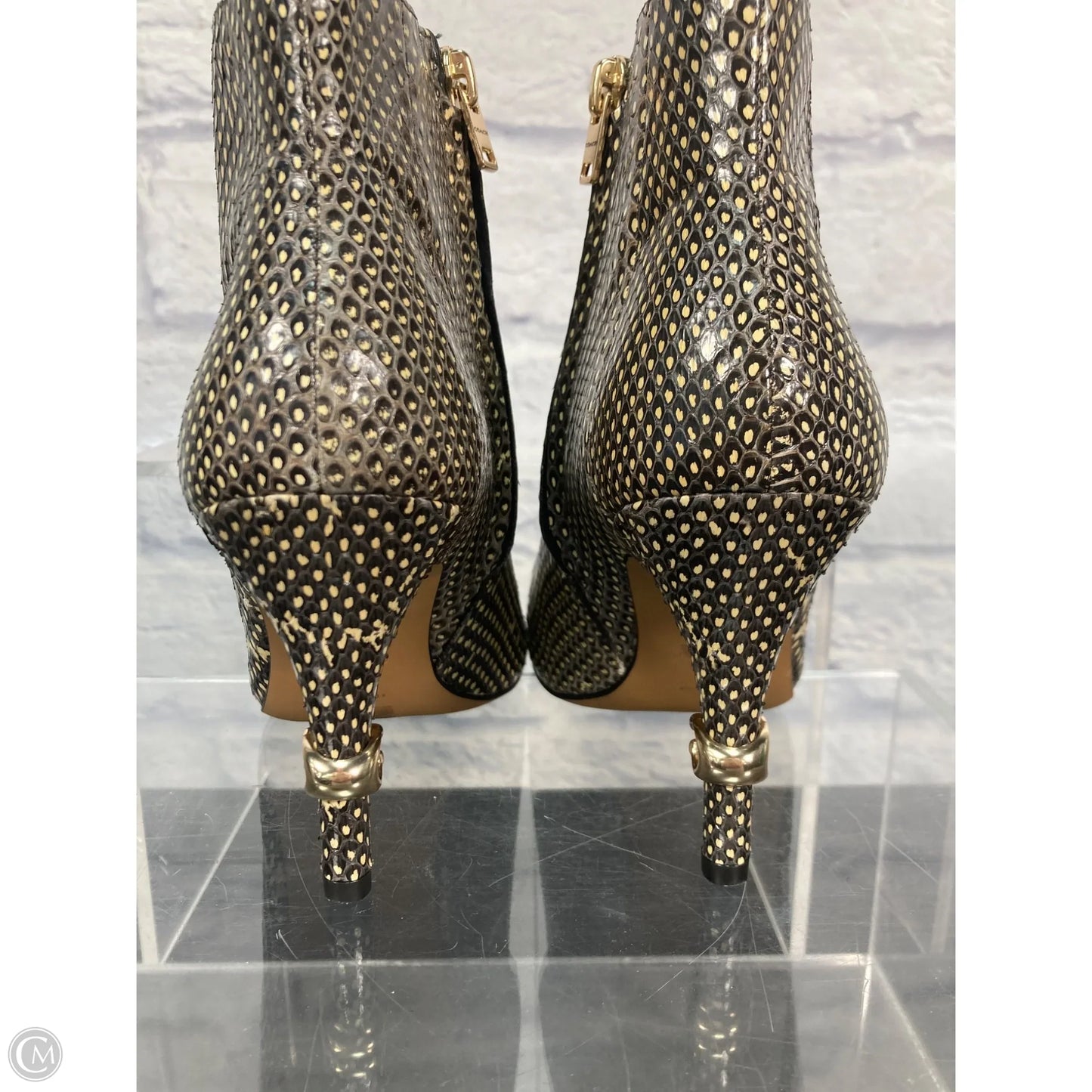 Shoes Designer By Coach In Animal Print, Size: 7