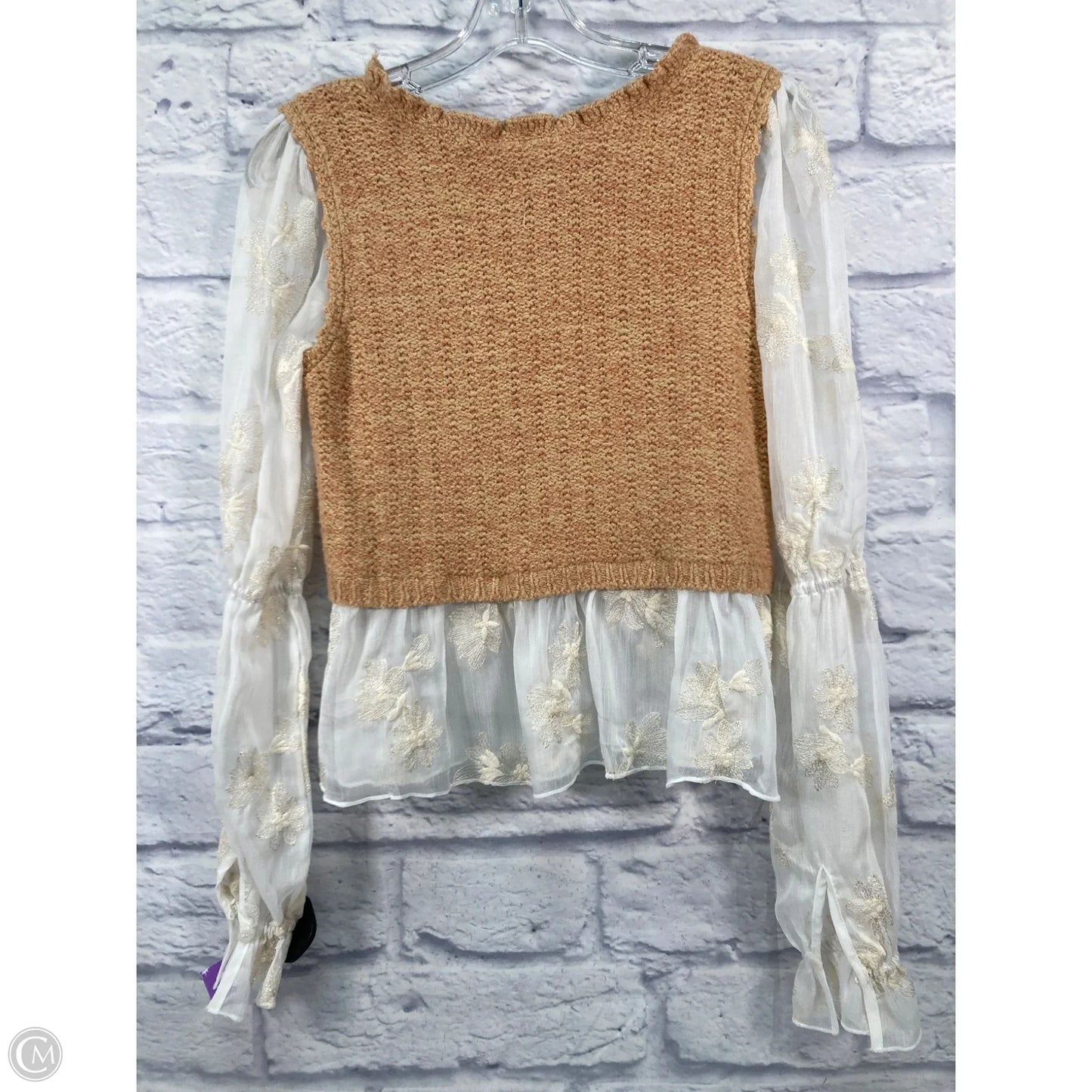 Top Long Sleeve By Anthropologie In Brown & Cream, Size: Xxs