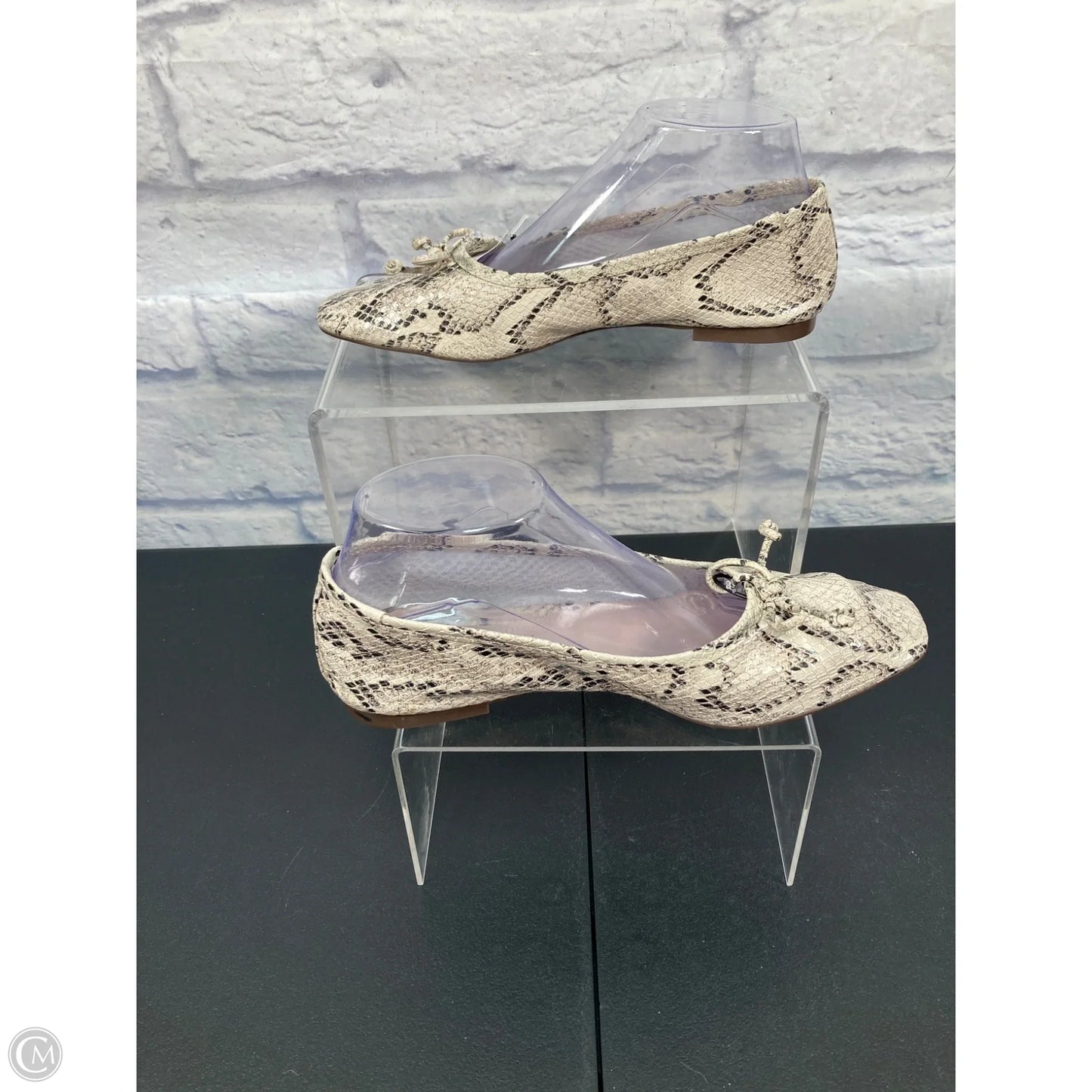 Shoes Flats By Schutz In Snakeskin Print, Size: 8