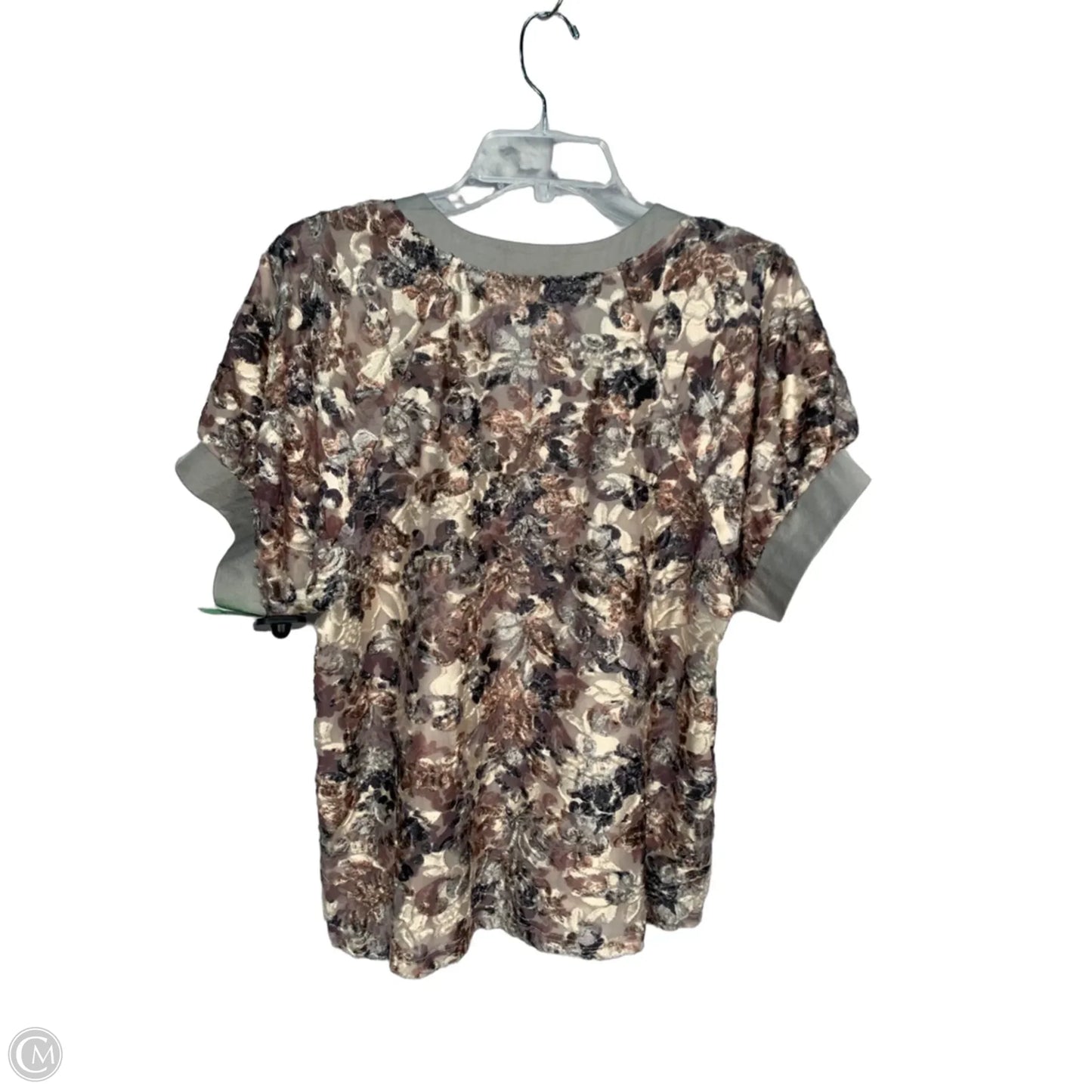 Top Short Sleeve By Ivy Jane In Brown & Grey, Size: M