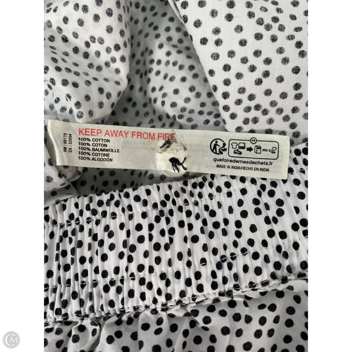 Shorts By Anthropologie In Polkadot Pattern, Size: 8