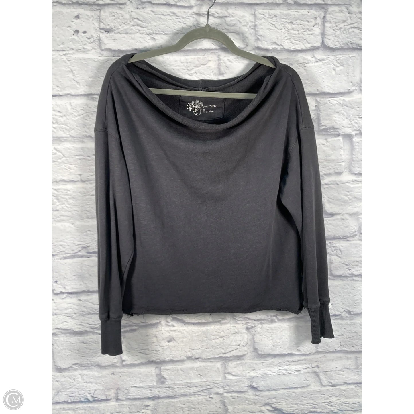Top Long Sleeve By Pilcro In Grey, Size: M