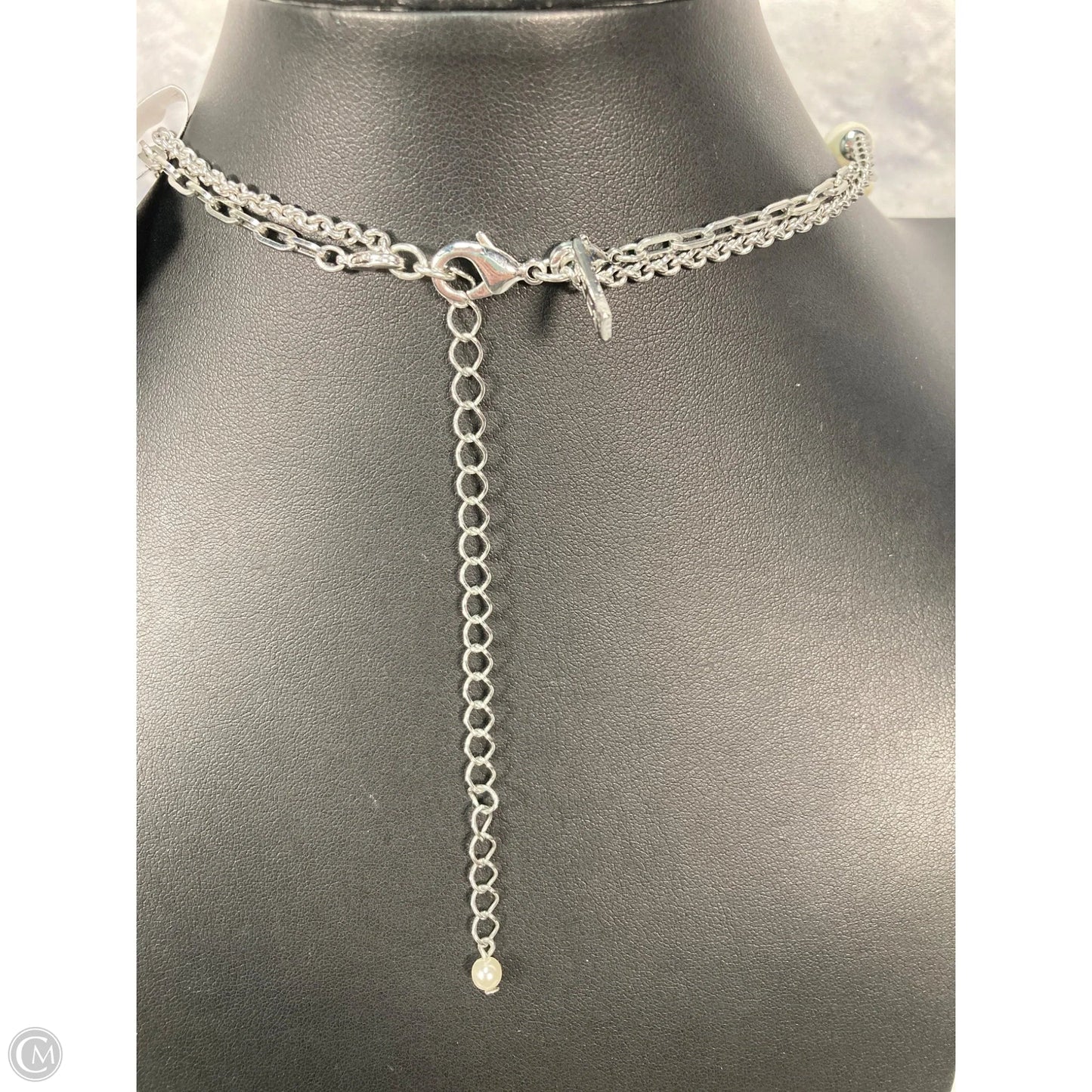 Necklace Layered By White House Black Market