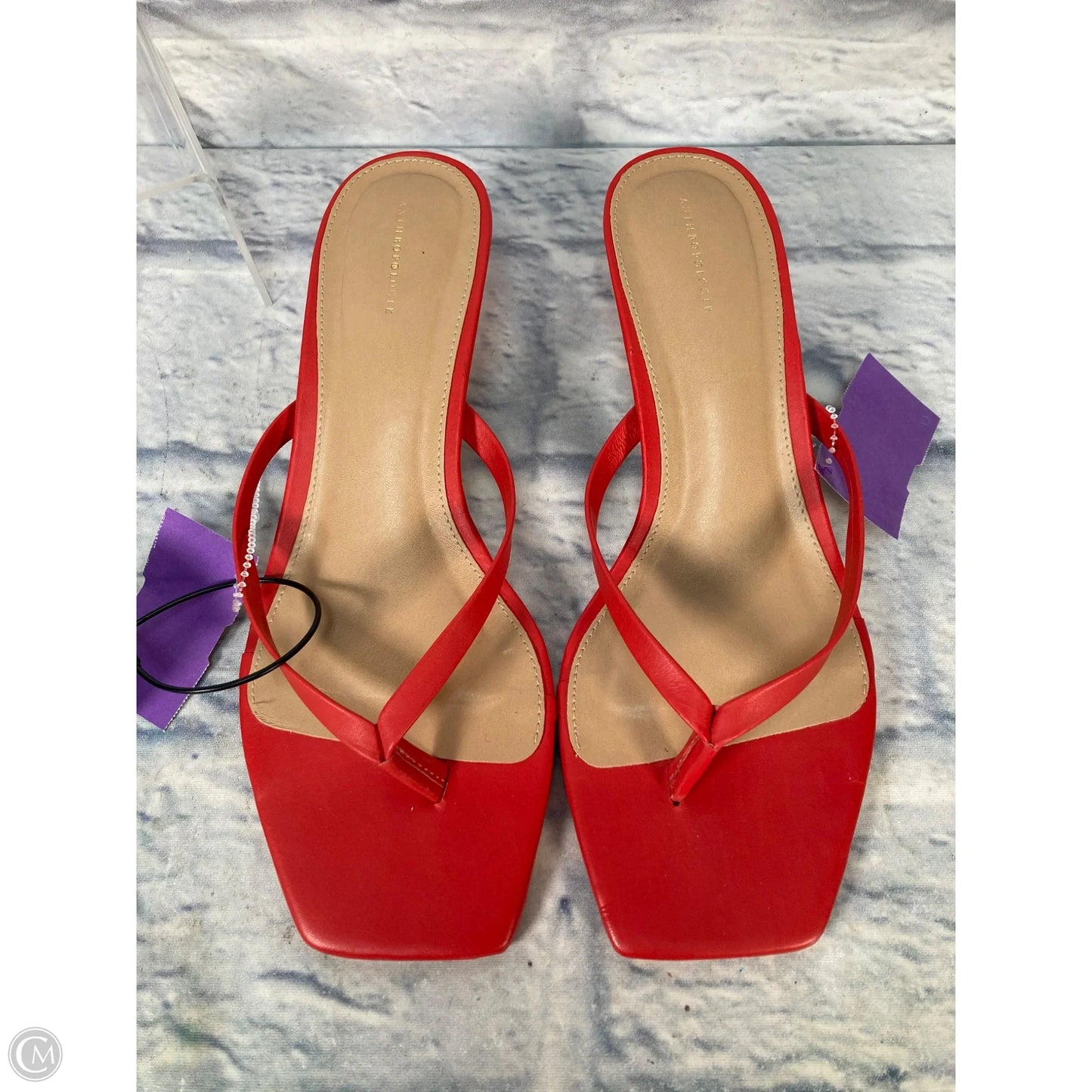Shoes Heels Kitten By Anthropologie In Red, Size: 8