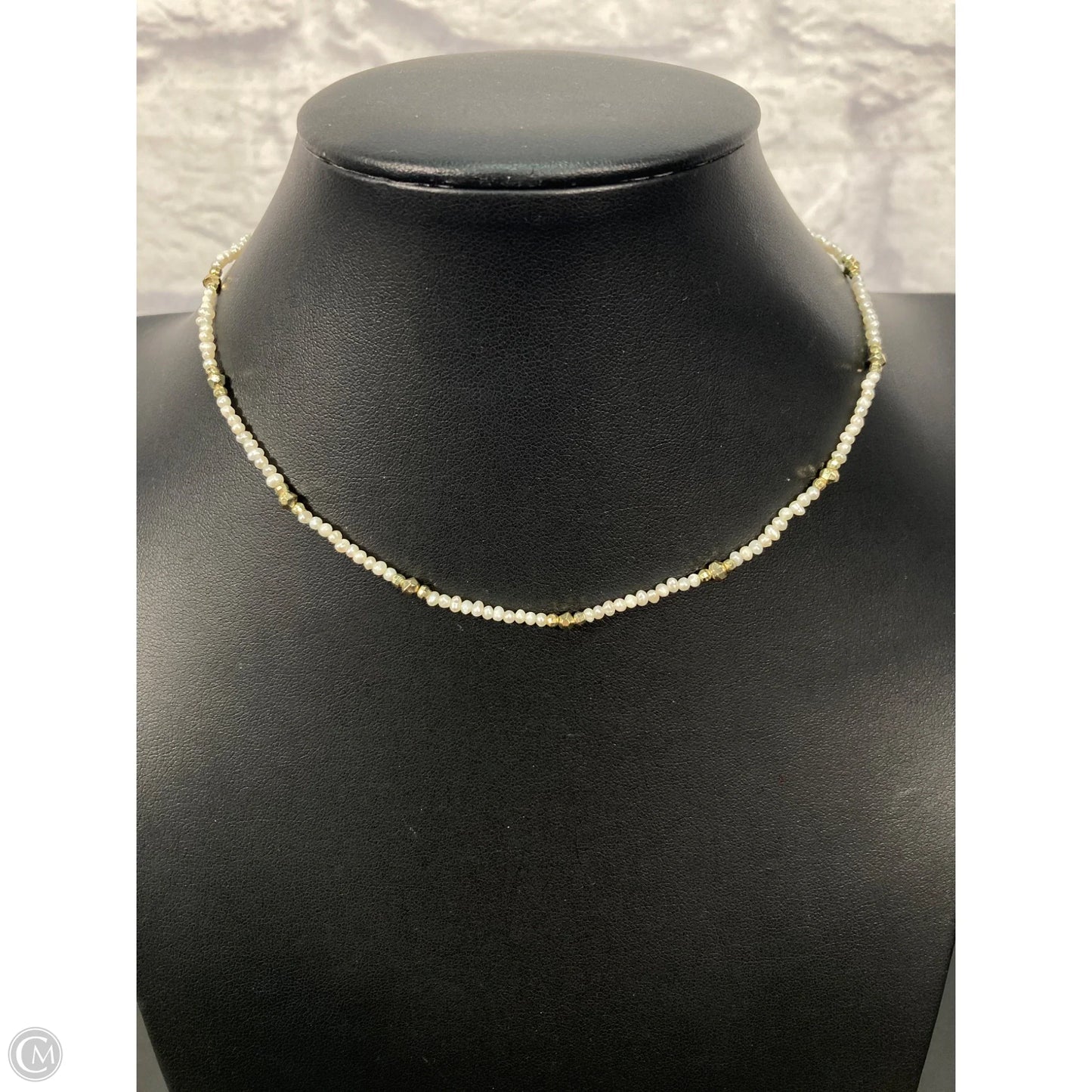 Necklace Choker & Collar By Kendra Scott
