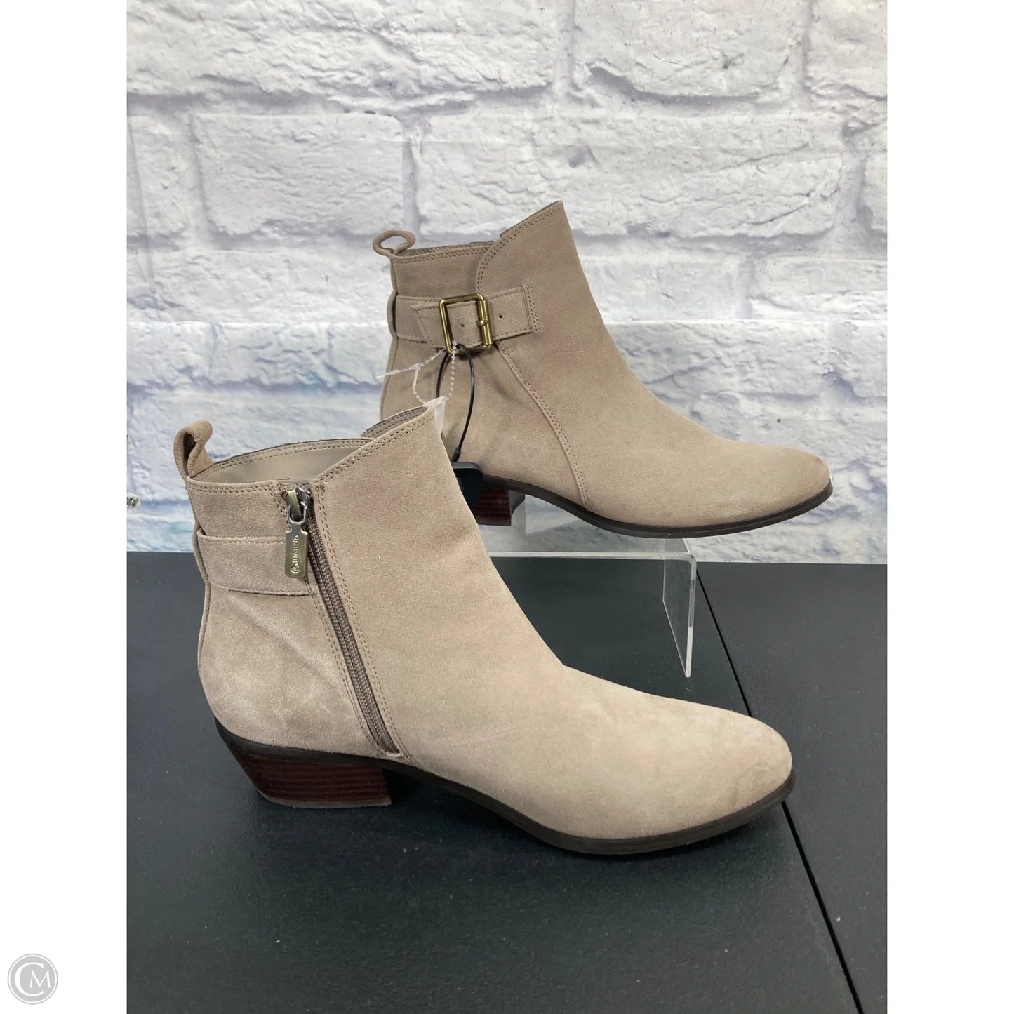 Shoes Heels Block By Dolce Vita In Tan, Size: 10