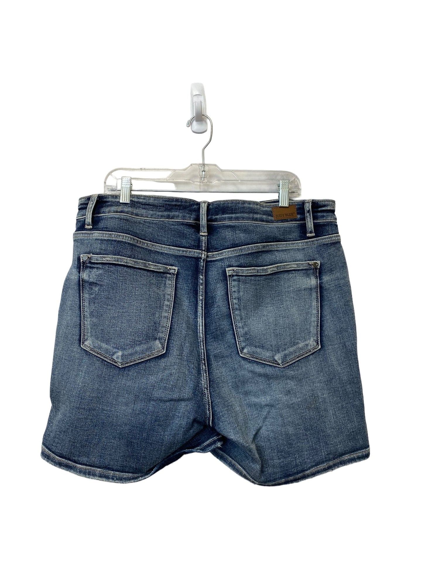 Blue Denim Shorts Judy Blue, Size 2x