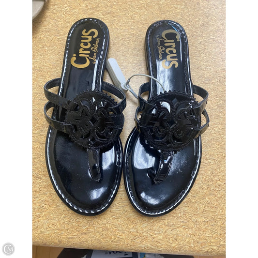 Sandals Flip Flops By Circus By Sam Edelman In Black, Size: 9