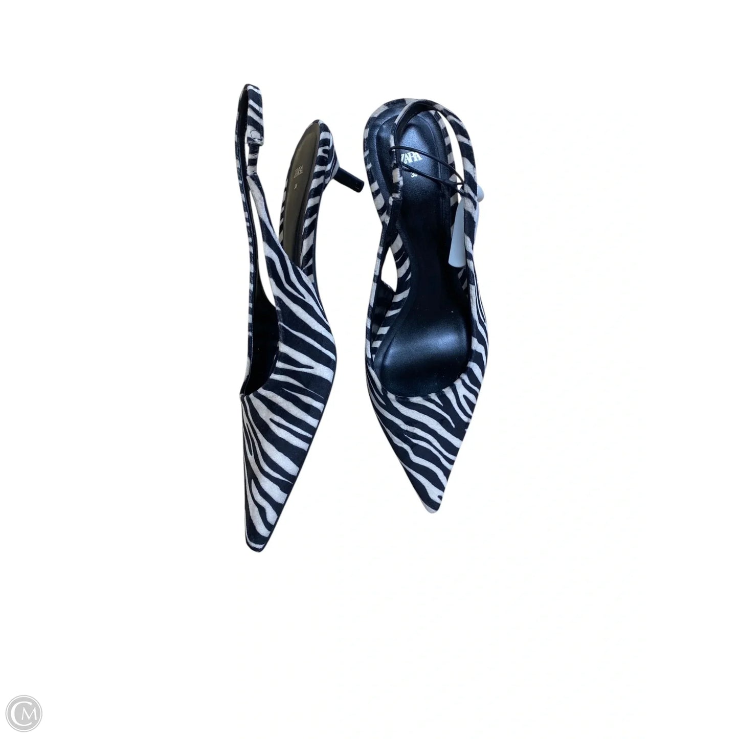 Shoes Heels Kitten By Zara In Animal Print, Size: 7