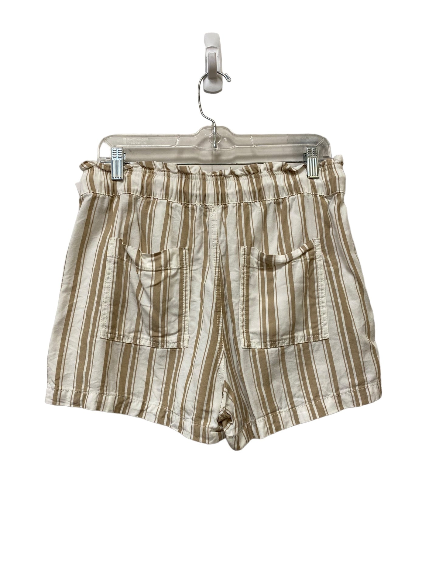 Shorts By Loft  Size: M