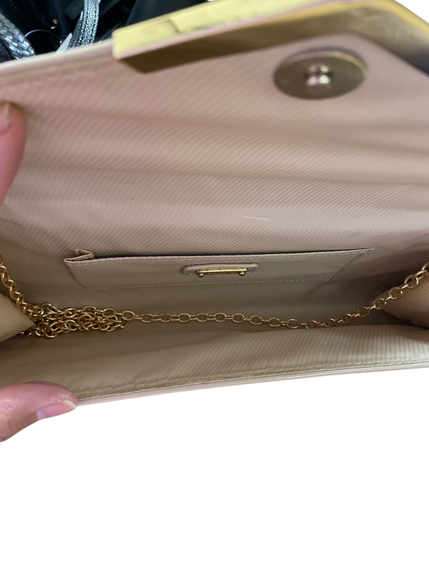 Clutch By Aldo, Size: Large