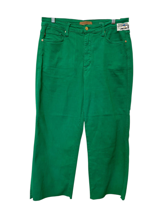 Pants Other By Judy Blue In Green, Size: 14