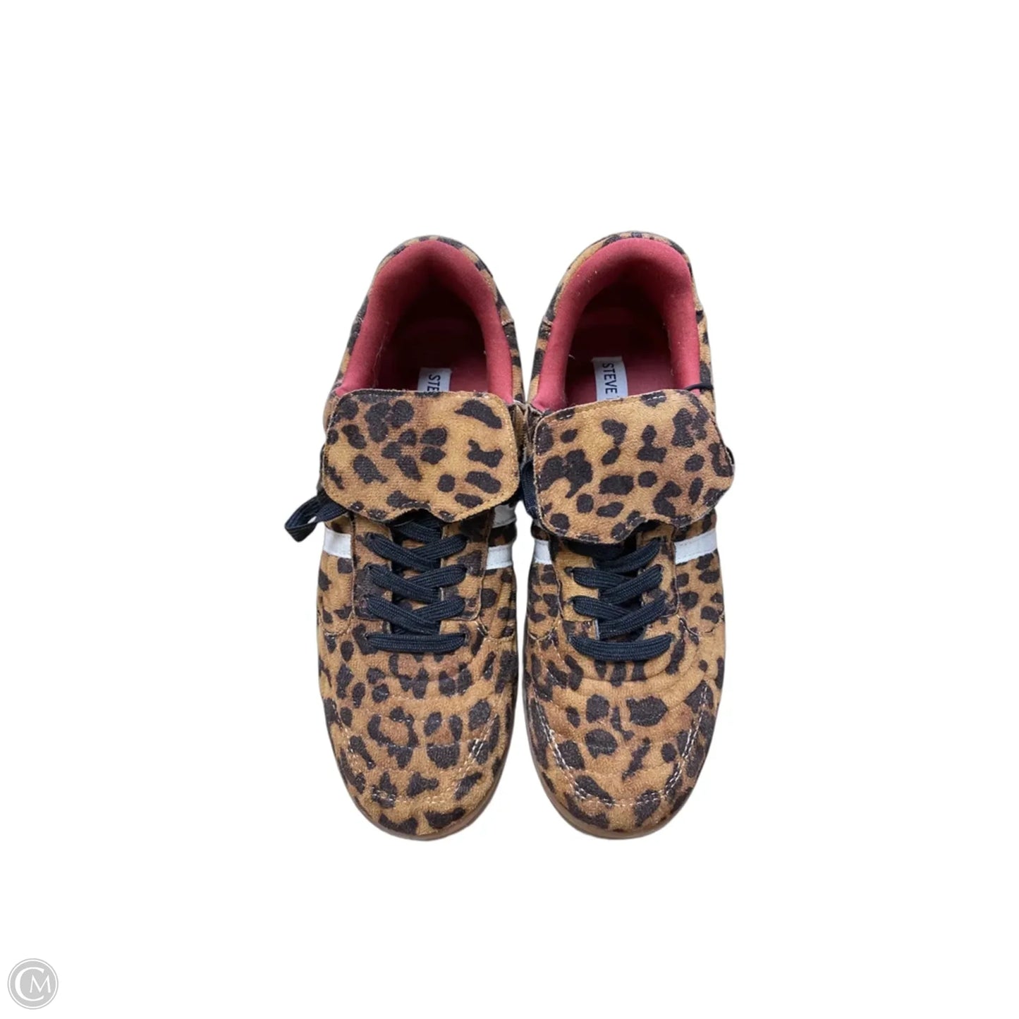 Shoes Sneakers By Steve Madden In Leopard Print, Size: 7