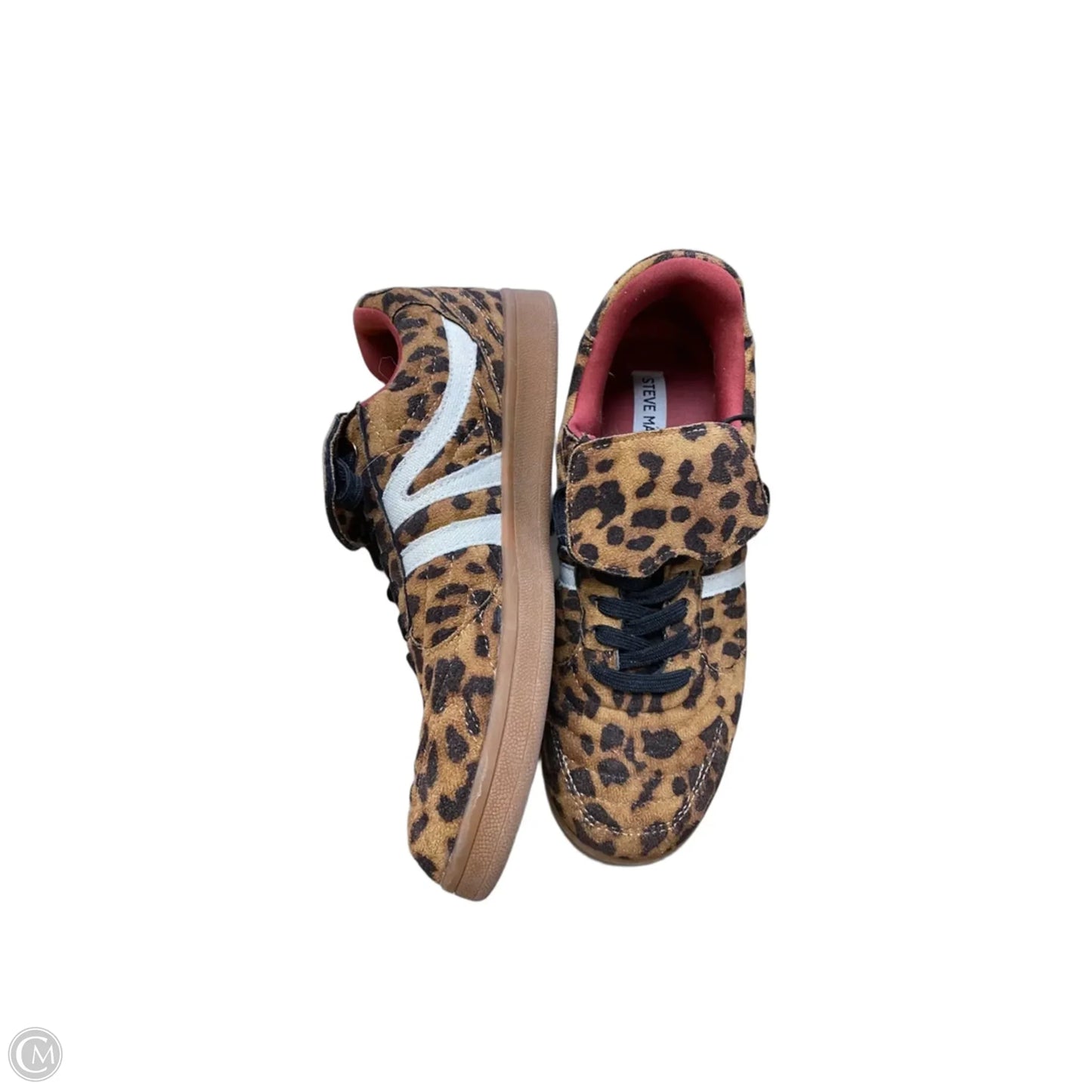 Shoes Sneakers By Steve Madden In Leopard Print, Size: 7
