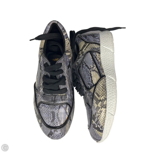 Shoes Designer By Roberto Cavalli In Blue & White, Size: 6