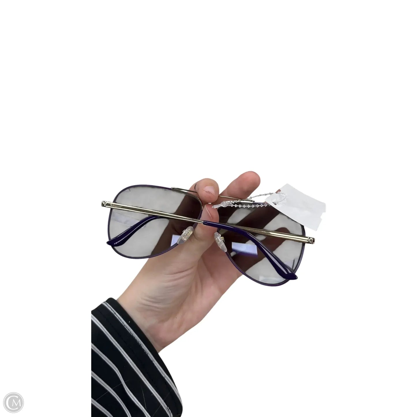 Sunglasses Luxury Designer By Ferragamo, Size:
