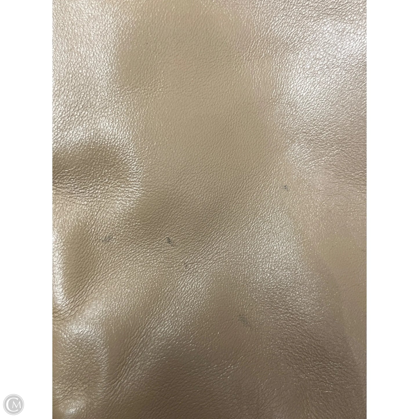 Crossbody Designer By Coach, Size: Small
