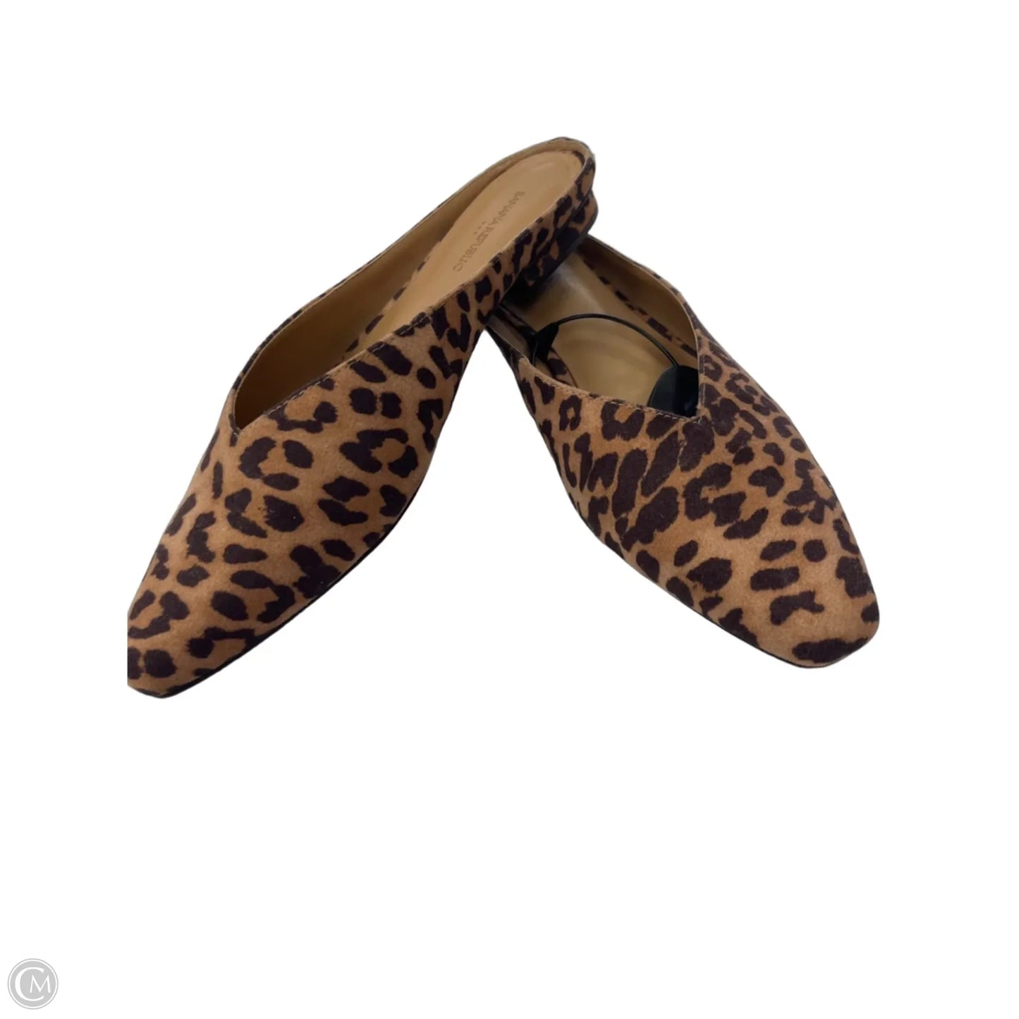 Shoes Flats By Banana Republic In Animal Print, Size: 7.5