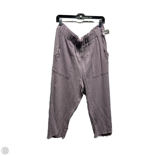 Capris By Indigo Rein In Purple, Size: Xl