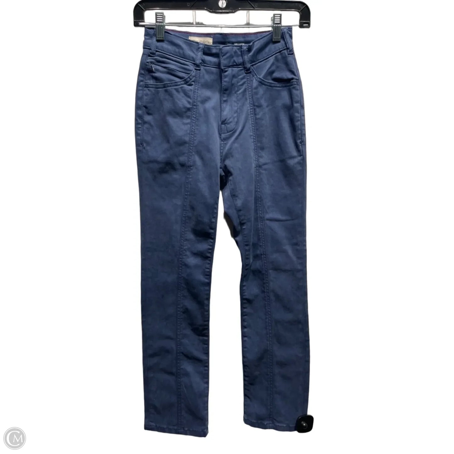 Pants Other By Pilcro In Blue, Size: 2