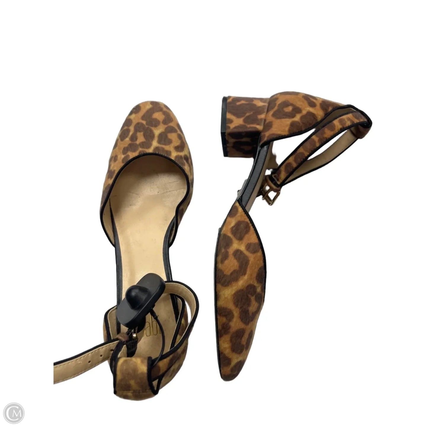 Shoes Heels Block By Cabi In Animal Print, Size: 7.5