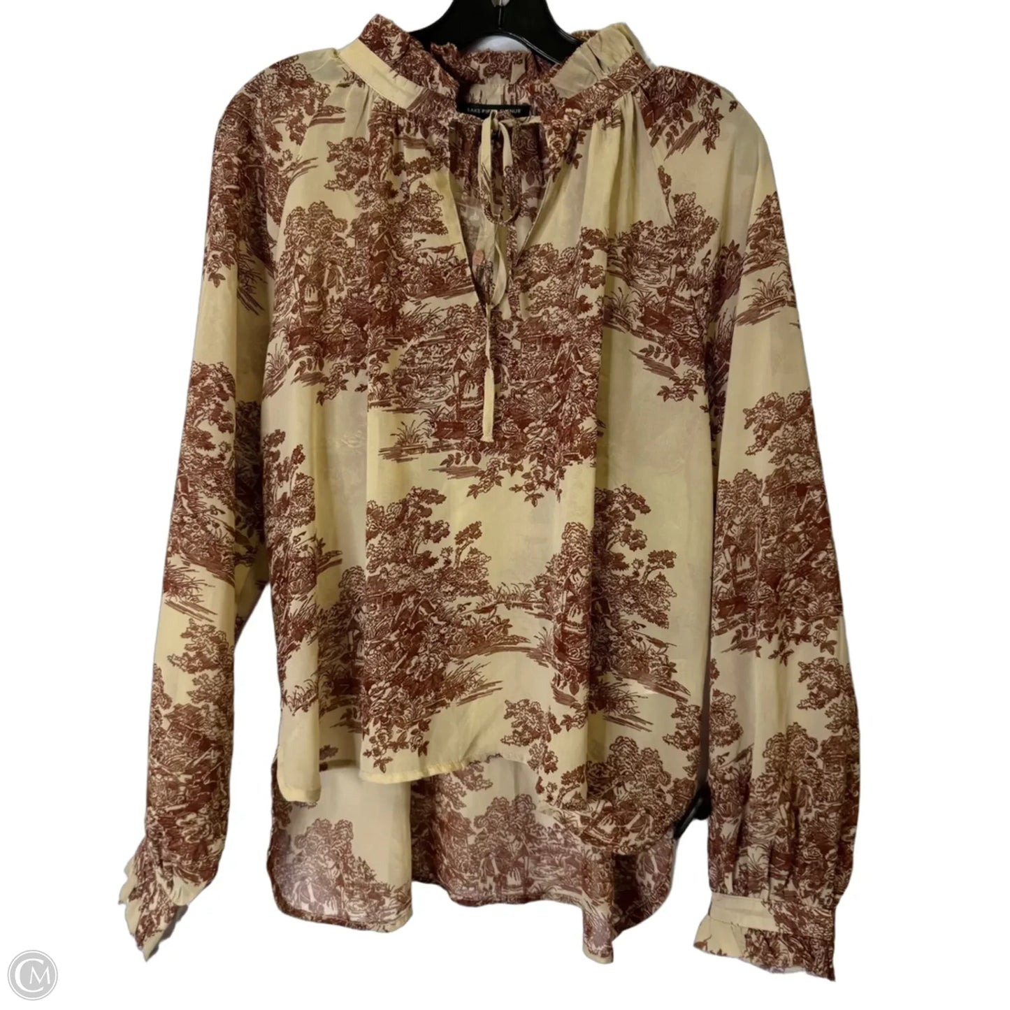 Blouse Long Sleeve By Saks Fifth Avenue In Brown, Size: S