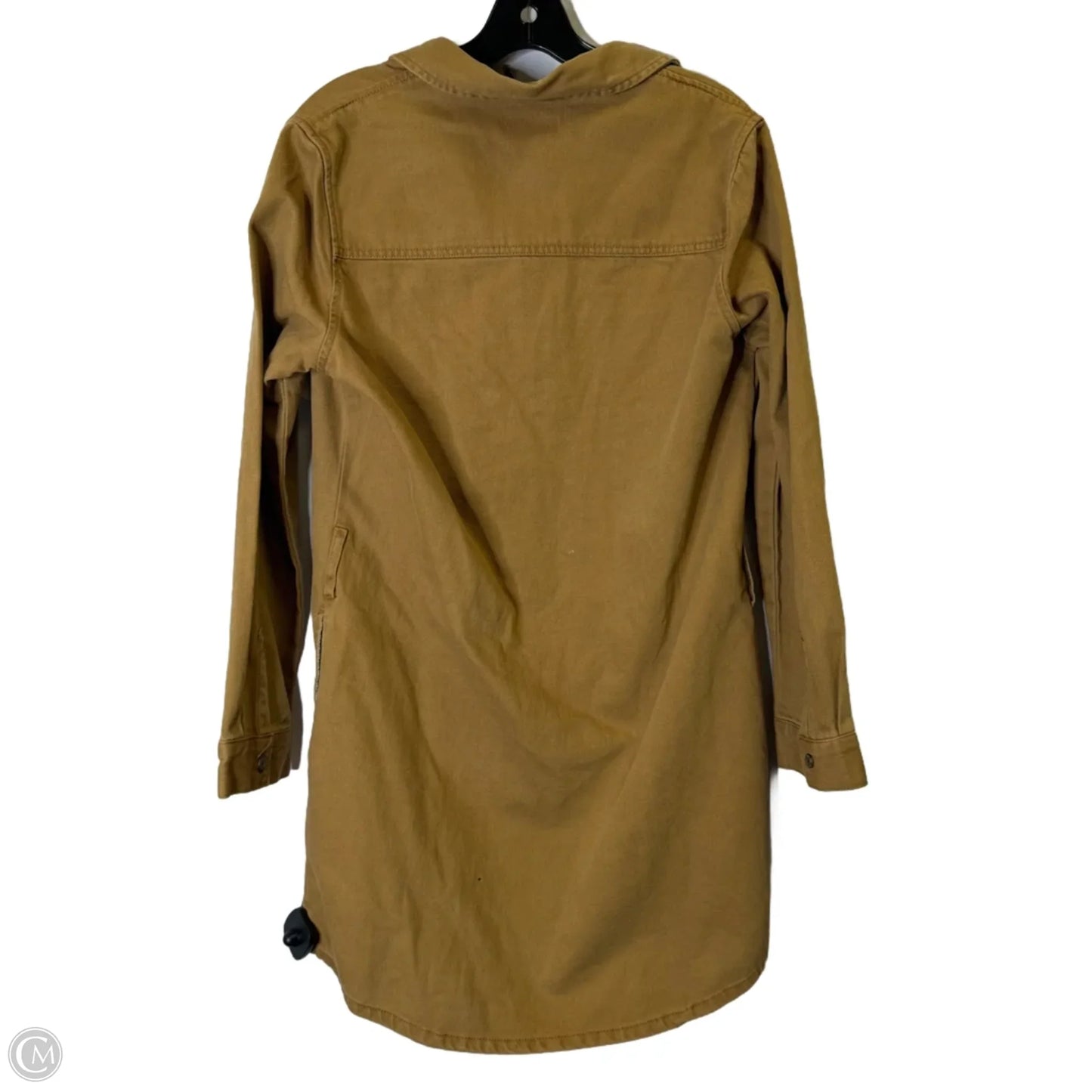 Dress Casual Short By Habitual In Brown, Size: S