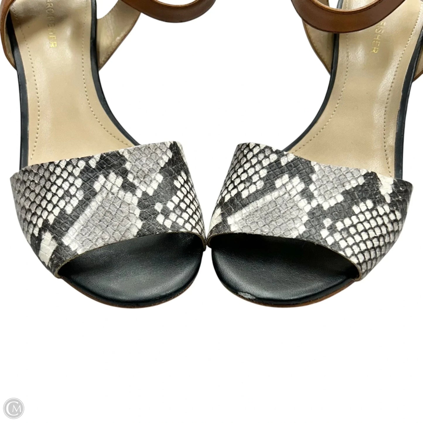 Shoes Heels Block By Marc Fisher In Snakeskin Print, Size: 9