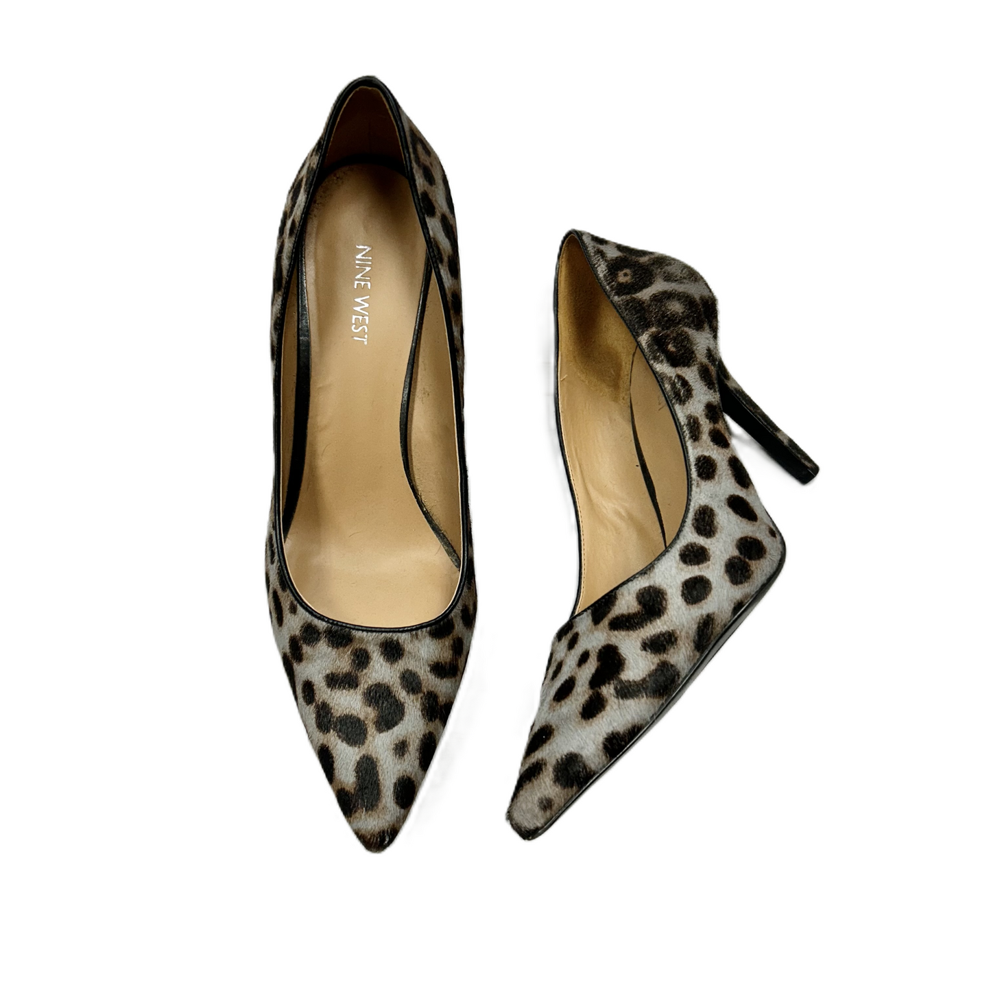 Leopard Print Shoes Heels Stiletto By Nine West, Size: 11
