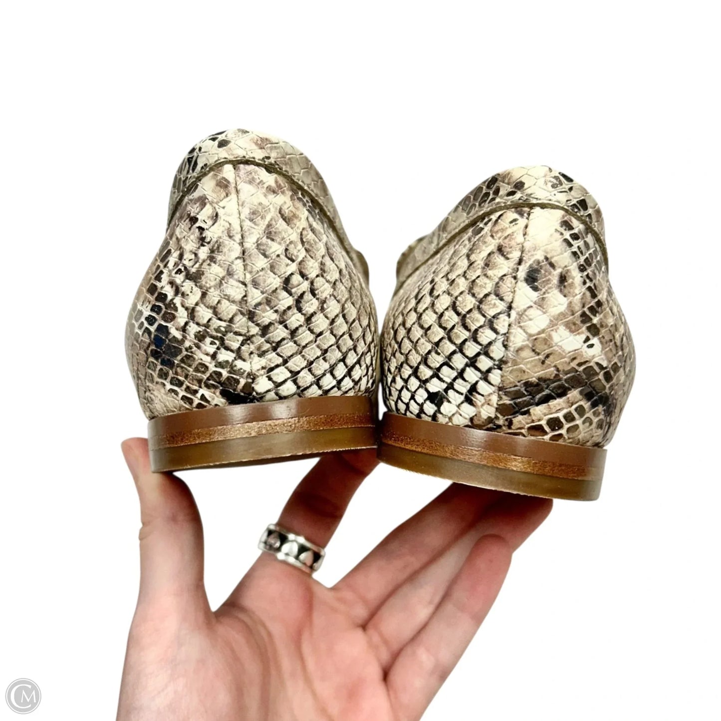 Shoes Flats By Cole-haan In Snakeskin Print, Size: 7.5