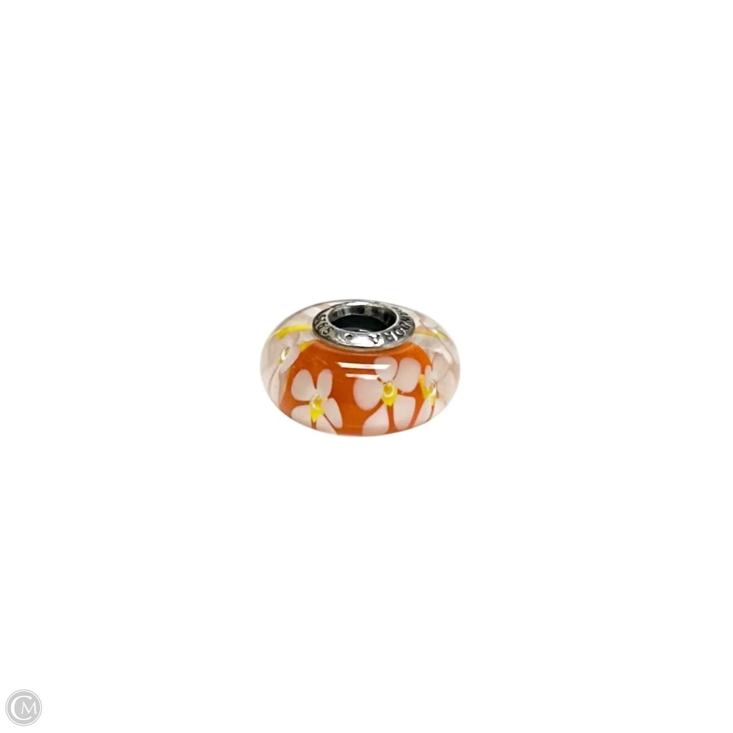 Jewelry Charm By Pandora