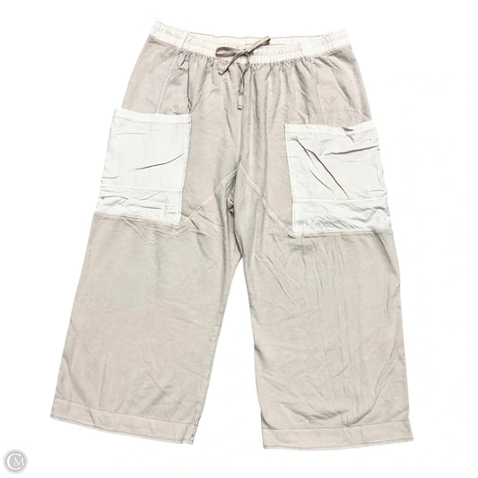 Pants Cargo & Utility By Torrid In Mauve, Size: 4x