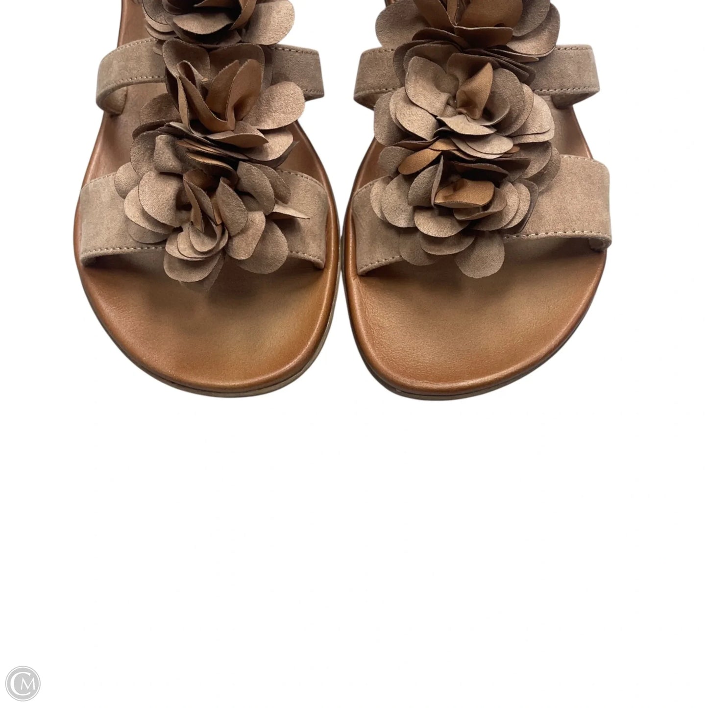 Sandals Flats By Naturalizer In Brown, Size: 9.5