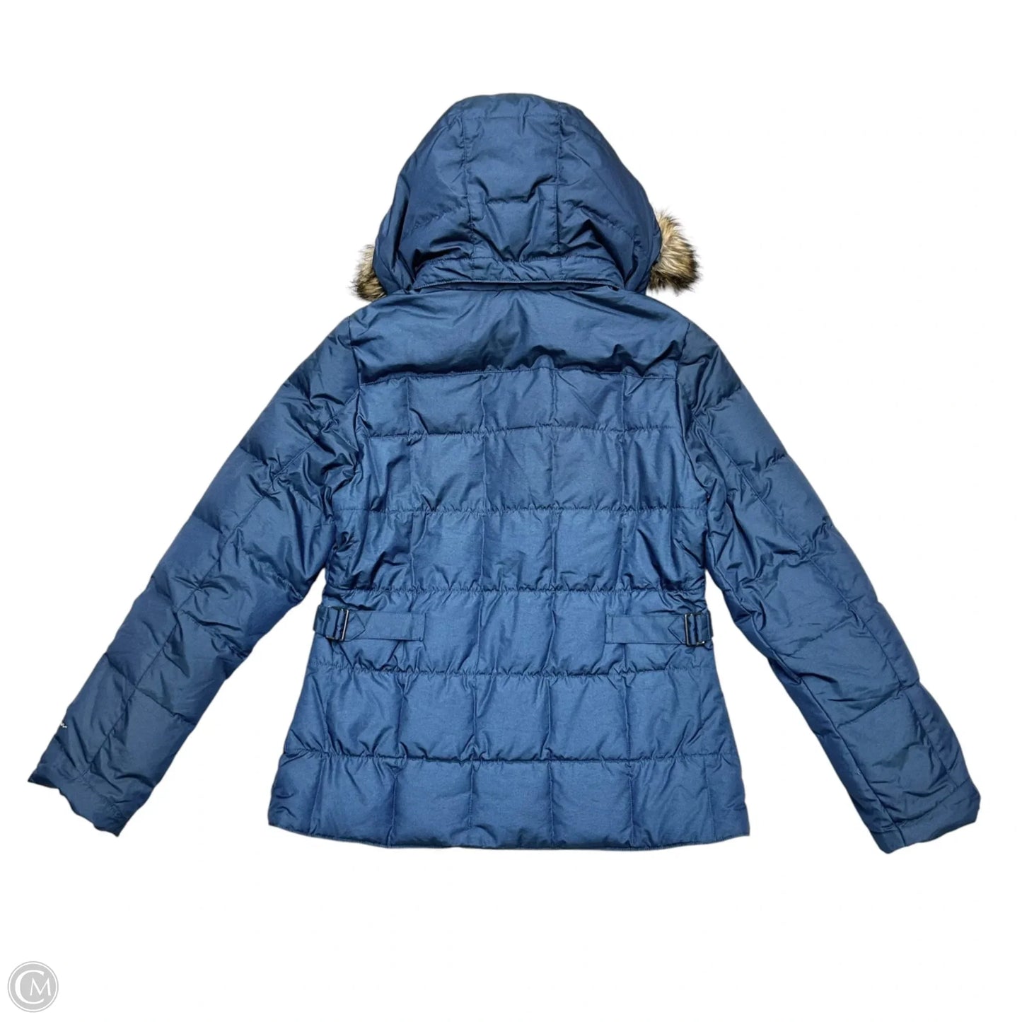 Coat Puffer & Quilted By Eddie Bauer In Navy, Size: M
