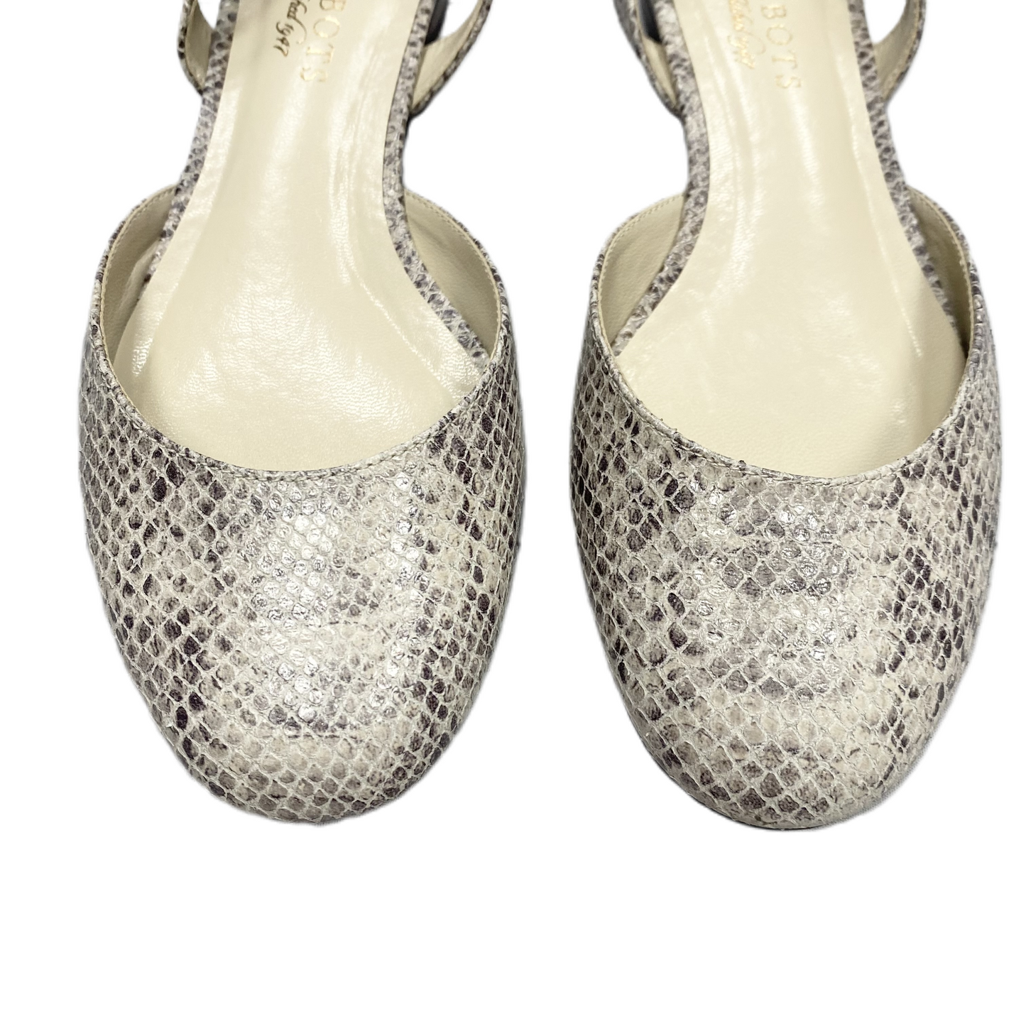 Snakeskin Print Shoes Flats By Talbots, Size: 6