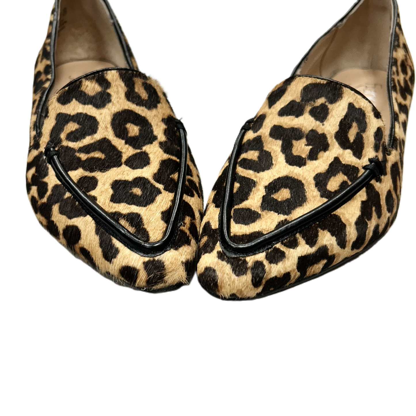 Shoes Flats By Franco Sarto In Leopard Print, Size: 8.5