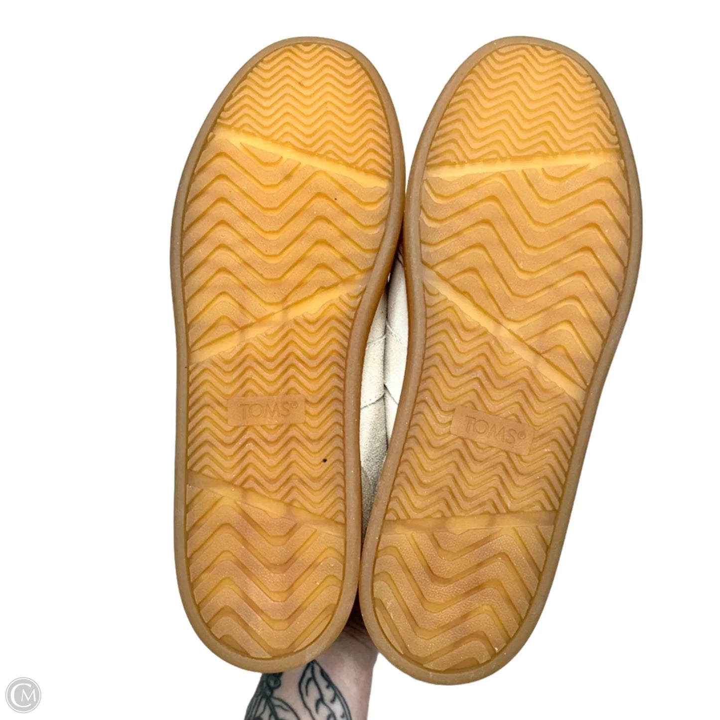 Shoes Sneakers By Toms In Cream, Size: 8.5