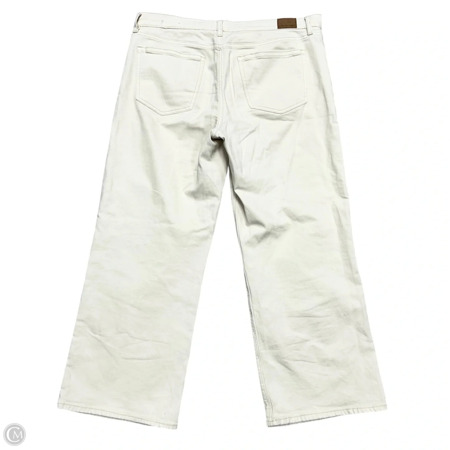 Pants Wide Leg By American Eagle In Cream, Size: 16