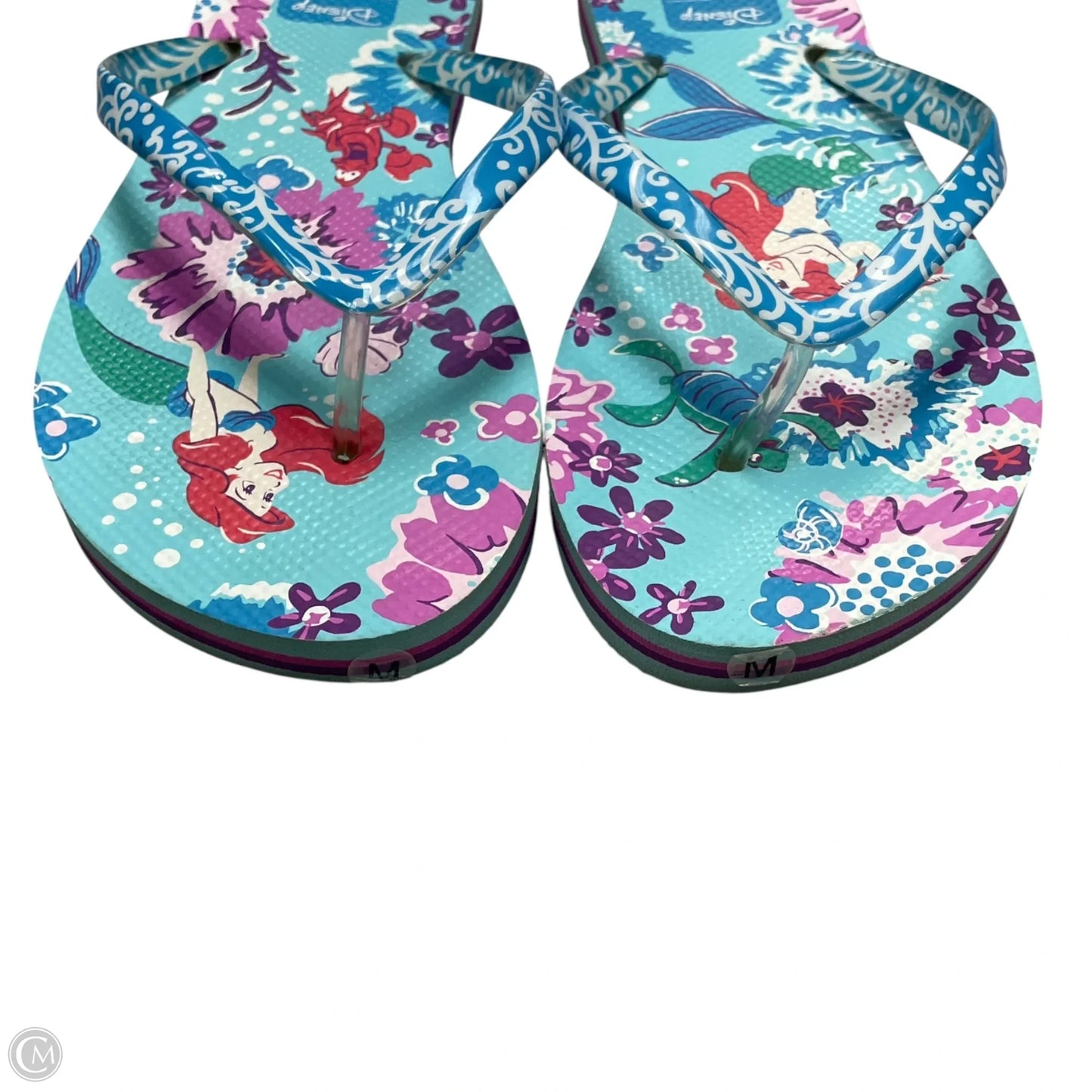 Sandals Flip Flops By Vera Bradley In Blue & White, Size: 7