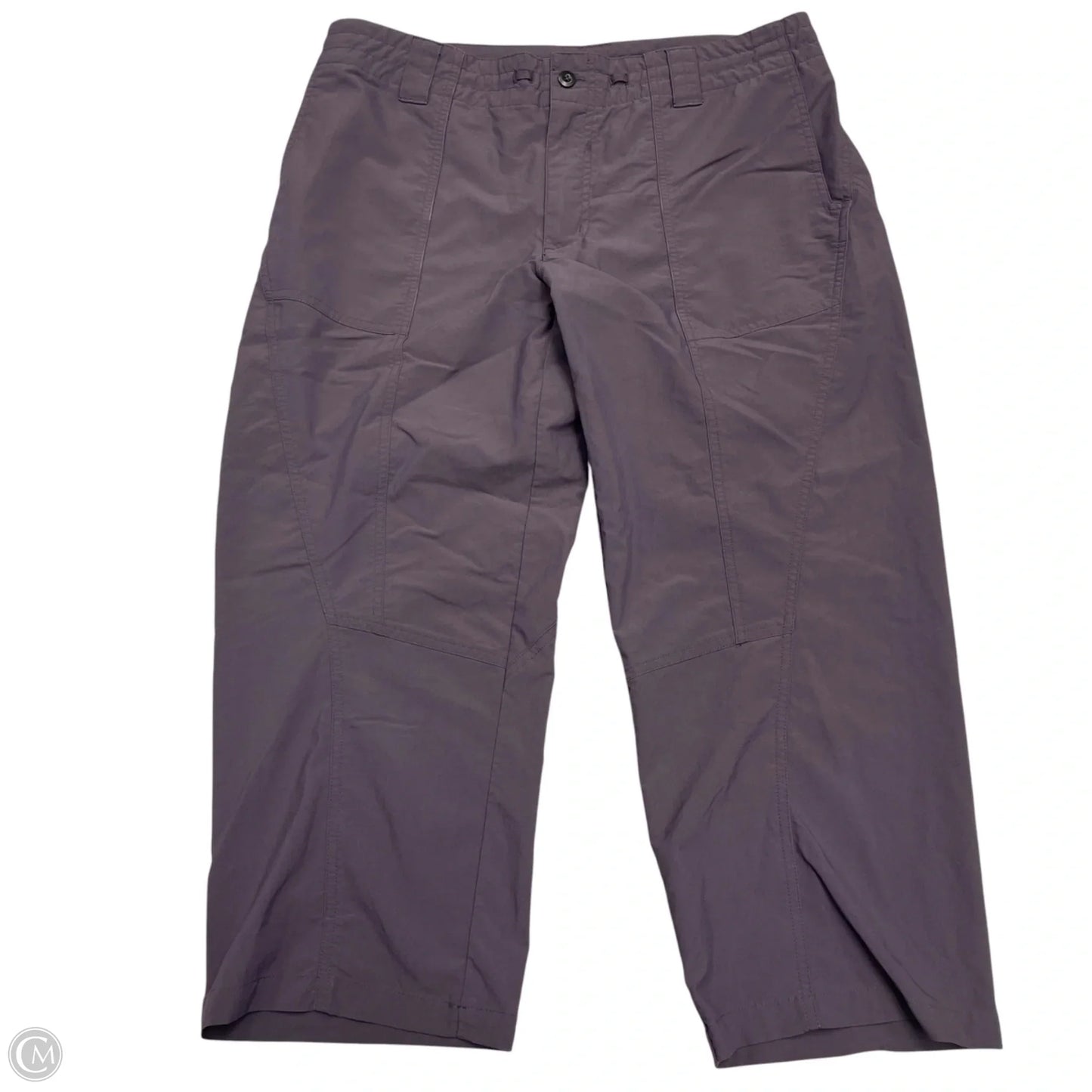 Athletic Pants By Patagonia In Purple, Size: L