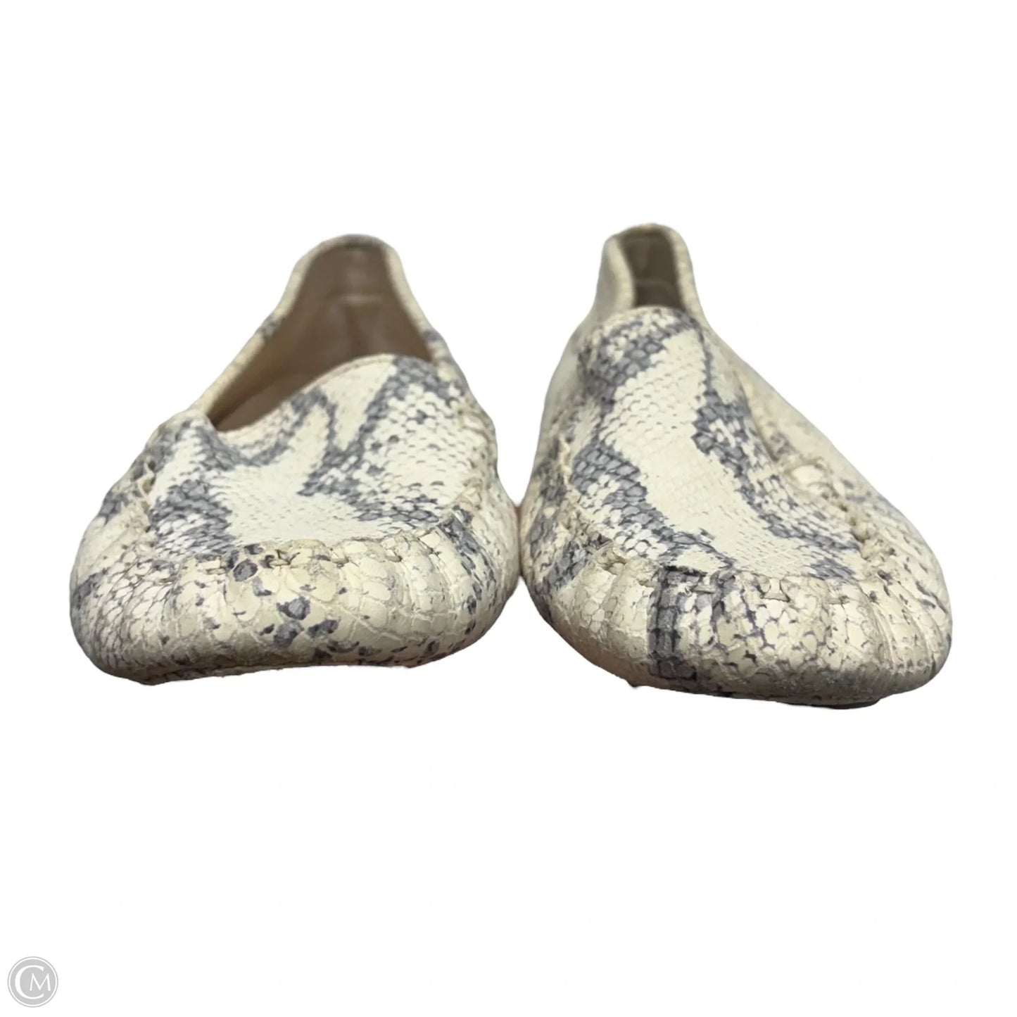 Shoes Flats By Cole-haan In Snakeskin Print, Size: 6