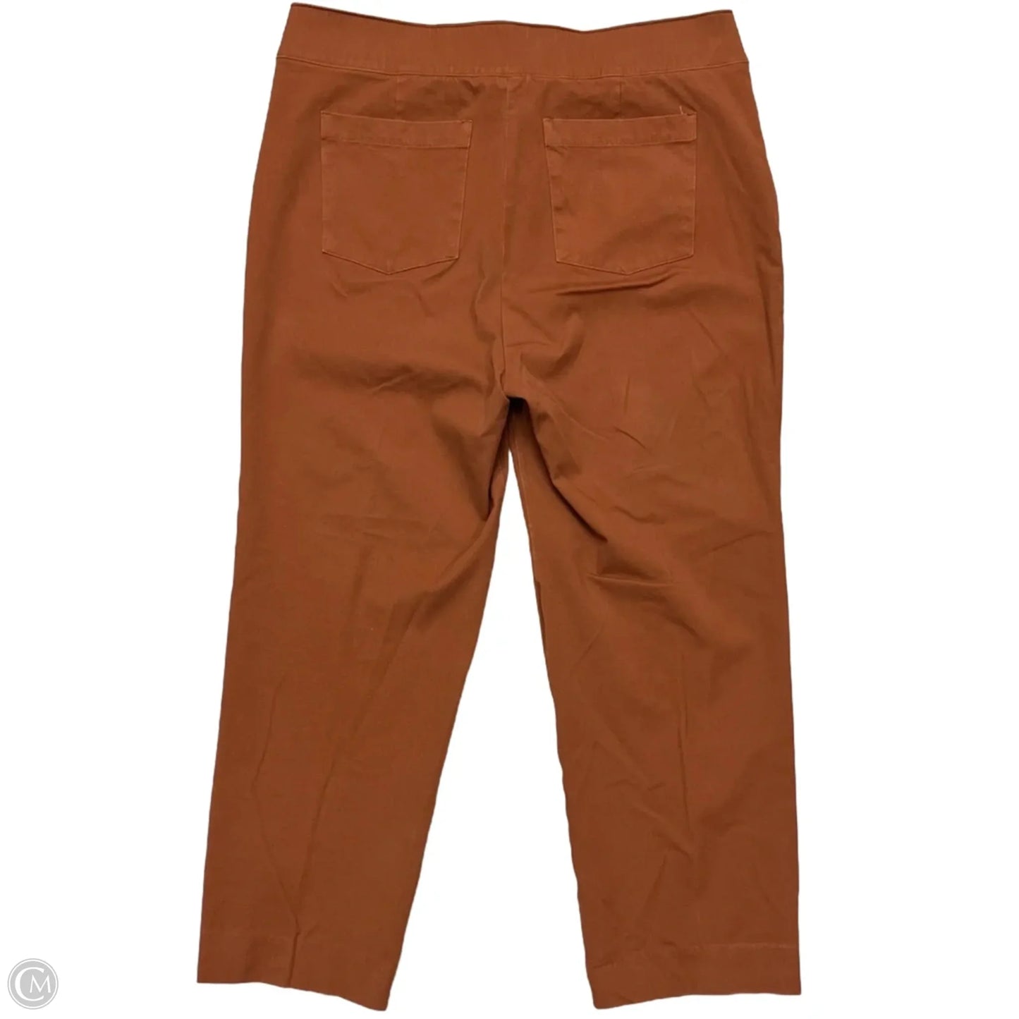 Pants Cropped By Spanx In Orange, Size: 2x
