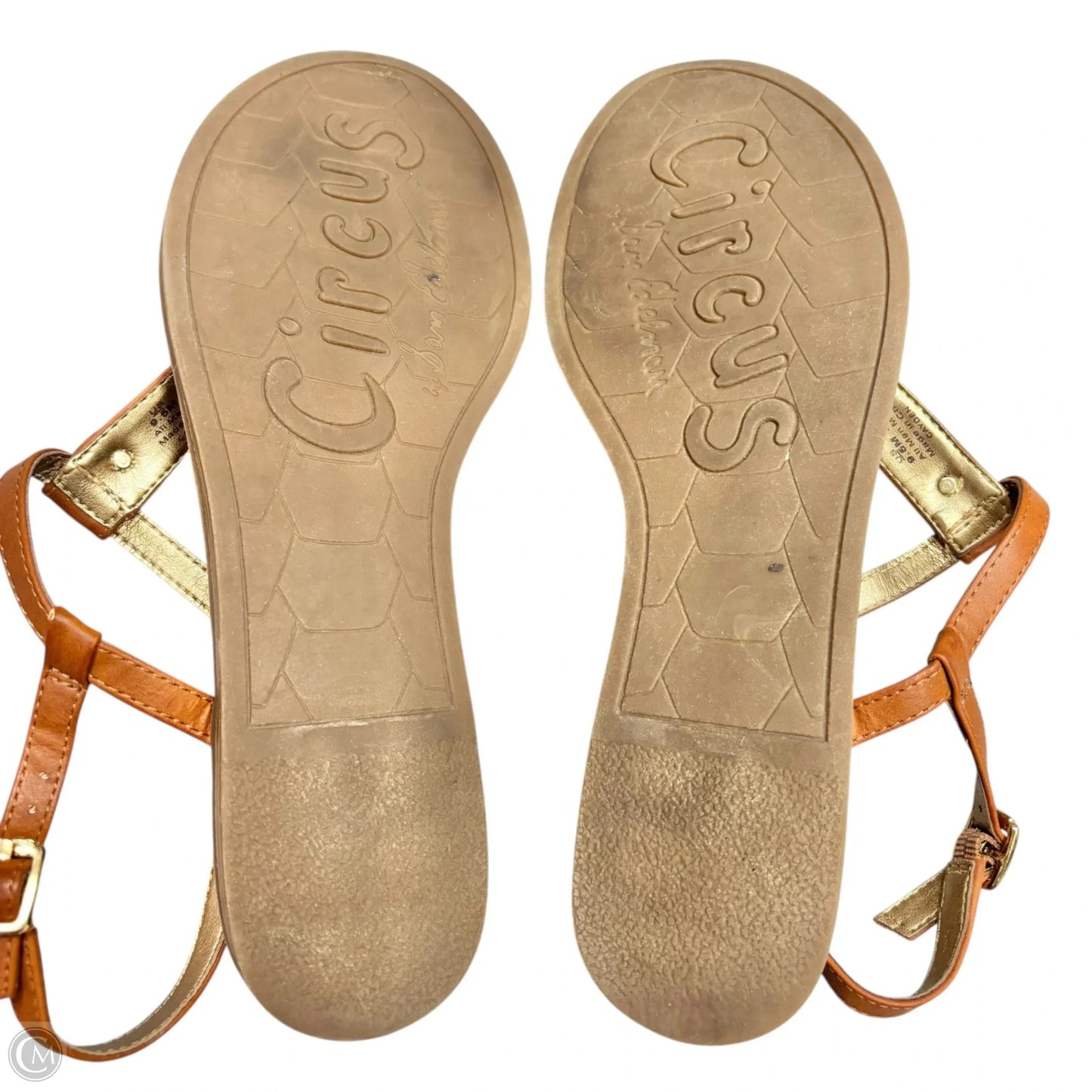 Sandals Flats By Circus By Sam Edelman In Tan, Size: 9.5