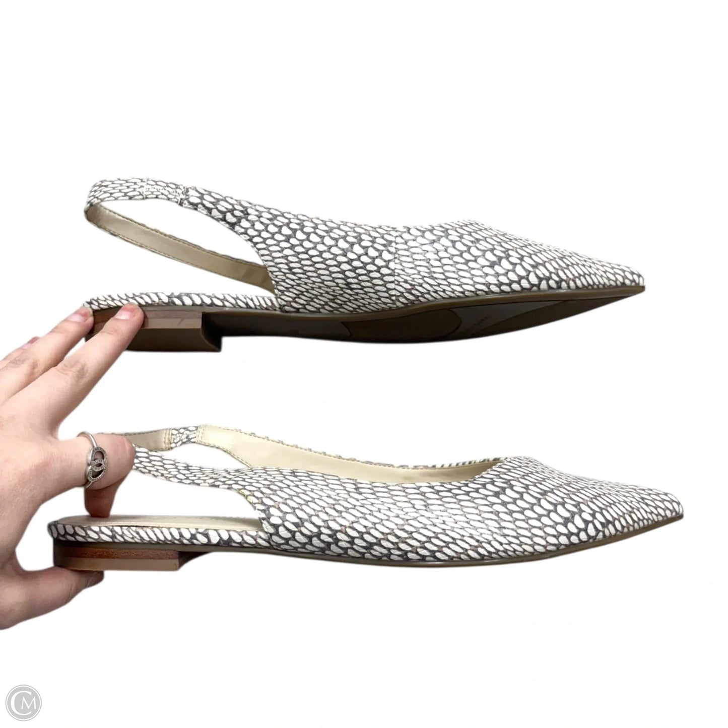 Shoes Flats By Marc Fisher In Snakeskin Print, Size: 10