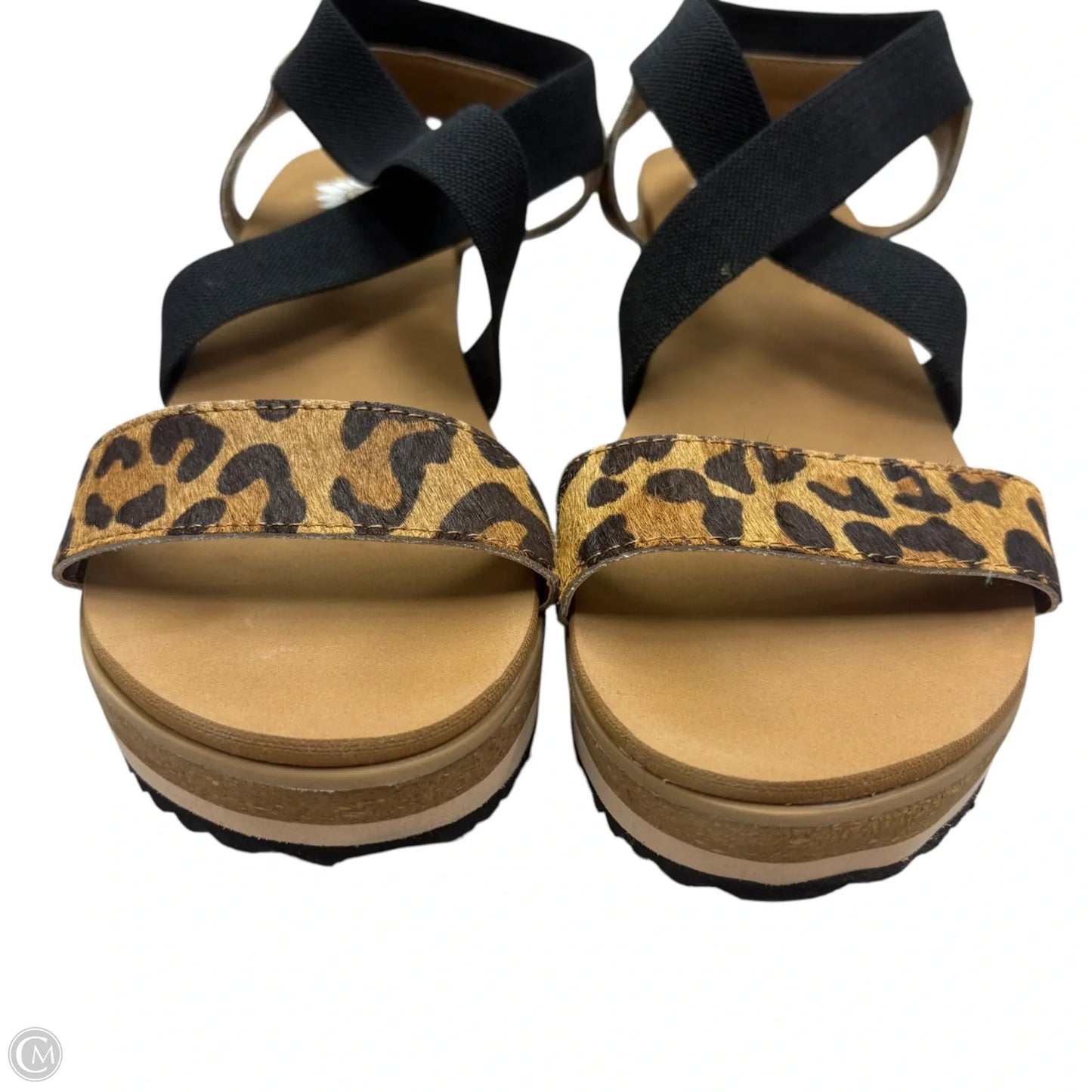 Sandals Heels Wedge By Yellow Box In Leopard Print, Size: 8.5