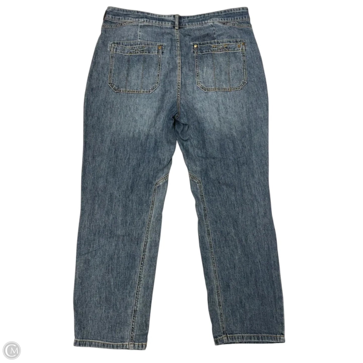 Jeans Skinny By Pilcro In Blue Denim, Size: 18