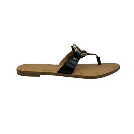 Sandals Flip Flops By Nine West  Size: 11